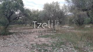 Οικόπεδο 2.800 τ.μ. για πώληση