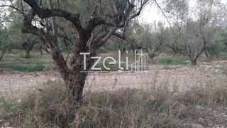 Οικόπεδο 2.800 τ.μ. για πώληση, Αχαΐα, Πάτρα-thumb-1