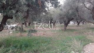 Οικόπεδο 2.800 τ.μ. για πώληση, Αχαΐα, Πάτρα-thumb-4