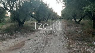 Οικόπεδο 2.800 τ.μ. για πώληση, Αχαΐα, Πάτρα-thumb-6