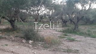 Οικόπεδο 2.800 τ.μ. για πώληση, Αχαΐα, Πάτρα-thumb-11