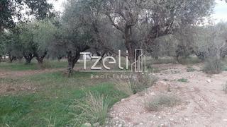 Οικόπεδο 2.800 τ.μ. για πώληση, Αχαΐα, Πάτρα-thumb-13