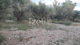Οικόπεδο 2.800 τ.μ. για πώληση, Αχαΐα, Πάτρα-thumb-16