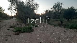 Οικόπεδο 2.800 τ.μ. για πώληση, Αχαΐα, Πάτρα-thumb-17