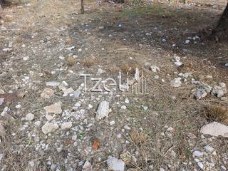 Οικόπεδο 258 τ.μ. για πώληση, Αχαΐα, Μεσσατίδα-thumb-5