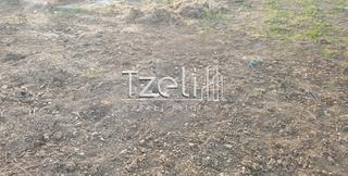 Οικόπεδο 258 τ.μ. για πώληση, Αχαΐα, Μεσσατίδα-thumb-15