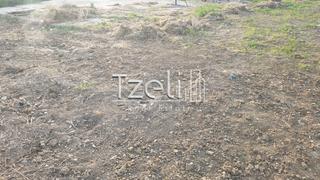 Οικόπεδο 258 τ.μ. για πώληση, Αχαΐα, Μεσσατίδα-thumb-16