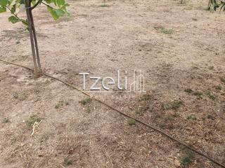 Οικόπεδο 258 τ.μ. για πώληση, Αχαΐα, Μεσσατίδα-thumb-24