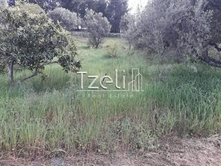 Οικόπεδο 230 τ.μ. για πώληση