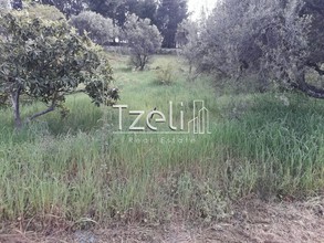 Οικόπεδο 230τ.μ. για πώληση-Παραλία » Ρογίτικα