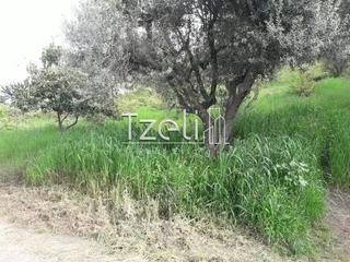 Οικόπεδο 230 τ.μ. για πώληση, Αχαΐα, Παραλία-thumb-3