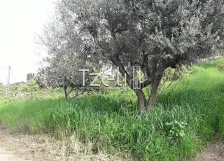 Οικόπεδο 230 τ.μ. για πώληση, Αχαΐα, Παραλία-thumb-5