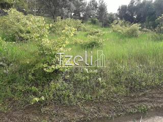 Οικόπεδο 230 τ.μ. για πώληση, Αχαΐα, Παραλία-thumb-9