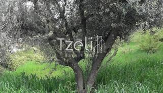 Οικόπεδο 230 τ.μ. για πώληση, Αχαΐα, Παραλία-thumb-13
