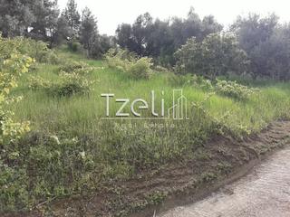 Οικόπεδο 230 τ.μ. για πώληση, Αχαΐα, Παραλία-thumb-16