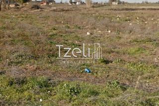 Αγροτεμάχια 134.000 τ.μ. για πώληση, Ν. Ηλείας, Αμαλιάδα-thumb-12