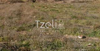 Αγροτεμάχια 134.000 τ.μ. για πώληση, Ν. Ηλείας, Αμαλιάδα-thumb-15