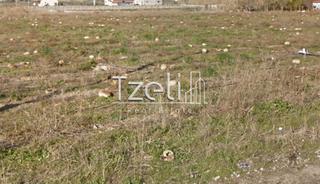 Αγροτεμάχια 134.000 τ.μ. για πώληση, Ν. Ηλείας, Αμαλιάδα-thumb-18