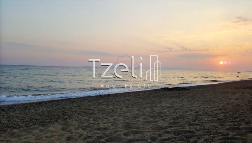 Parcel 134.000sqm for sale-Amaliada » Kasidiaris