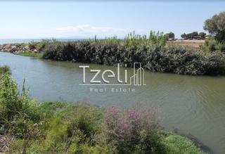 Αγροτεμάχια 134.000 τ.μ. για πώληση, Ν. Ηλείας, Αμαλιάδα-thumb-5