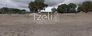 Αγροτεμάχια 134.000 τ.μ. για πώληση, Ν. Ηλείας, Αμαλιάδα-thumb-9