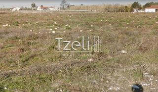 Αγροτεμάχια 134.000 τ.μ. για πώληση, Ν. Ηλείας, Αμαλιάδα-thumb-10