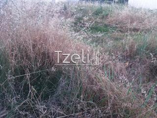 Οικόπεδο 1.500 τ.μ. για πώληση, Αχαΐα, Πάτρα-thumb-21