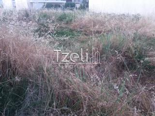Οικόπεδο 1.500 τ.μ. για πώληση, Αχαΐα, Πάτρα-thumb-23
