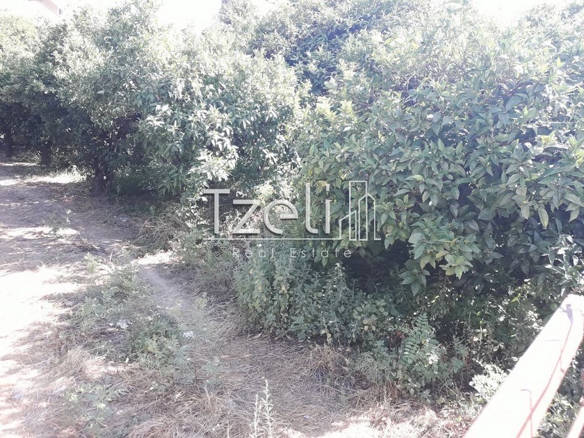Land plot 400sqm for sale-Patra » Laggoura