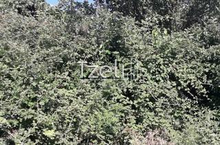 Οικόπεδο 400 τ.μ. για πώληση, Αχαΐα, Πάτρα-thumb-6