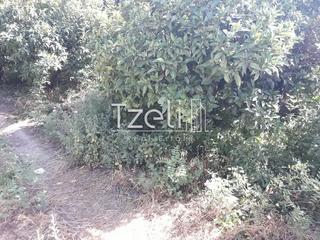 Οικόπεδο 400 τ.μ. για πώληση, Αχαΐα, Πάτρα-thumb-12