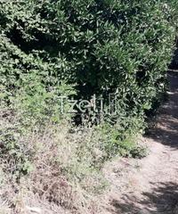 Οικόπεδο 400 τ.μ. για πώληση, Αχαΐα, Πάτρα-thumb-18