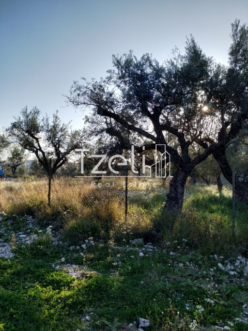 Land plot 500sqm for sale-Paralia » Mintilogli