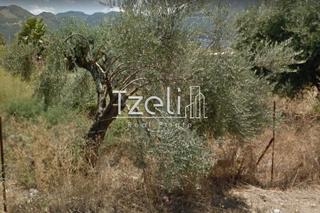 Οικόπεδο 620 τ.μ. για πώληση, Αχαΐα, Πάτρα-thumb-4