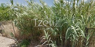 Οικόπεδο 620 τ.μ. για πώληση, Αχαΐα, Πάτρα-thumb-14