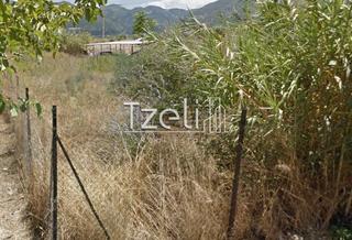 Οικόπεδο 620 τ.μ. για πώληση, Αχαΐα, Πάτρα-thumb-17