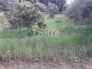 Οικόπεδο 620 τ.μ. για πώληση, Αχαΐα, Πάτρα-thumb-23