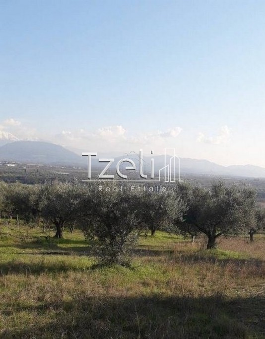 Land plot 5.600sqm for sale-Dytikis Achaias » Alissos