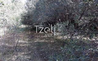 Οικόπεδο 3.000 τ.μ. για πώληση, Αχαΐα, Ρίο-thumb-17
