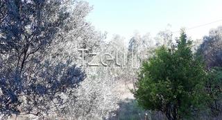 Οικόπεδο 3.000 τ.μ. για πώληση, Αχαΐα, Ρίο-thumb-24