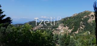 Οικόπεδο 3.000 τ.μ. για πώληση, Αχαΐα, Ρίο-thumb-26