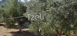 Οικόπεδο 473 τ.μ. για πώληση, Αχαΐα, Βραχναίικα-thumb-7