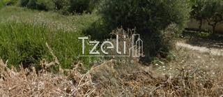 Οικόπεδο 473 τ.μ. για πώληση, Αχαΐα, Βραχναίικα-thumb-17
