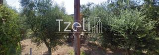 Οικόπεδο 473 τ.μ. για πώληση, Αχαΐα, Βραχναίικα-thumb-20