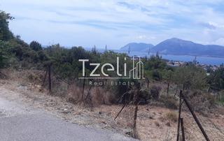 Οικόπεδο 8.000 τ.μ. για πώληση, Αχαΐα, Ρίο-thumb-1