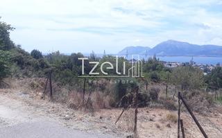 Οικόπεδο 8.000 τ.μ. για πώληση, Αχαΐα, Ρίο-thumb-3