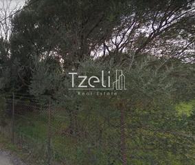 Οικόπεδο 8.000 τ.μ. για πώληση, Αχαΐα, Ρίο-thumb-13