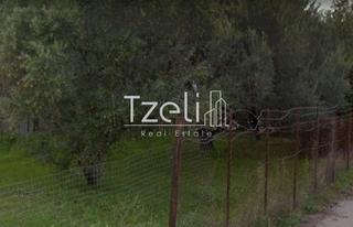 Οικόπεδο 8.000 τ.μ. για πώληση, Αχαΐα, Ρίο-thumb-20