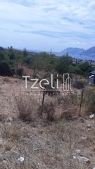 Οικόπεδο 8.000 τ.μ. για πώληση, Αχαΐα, Ρίο-thumb-22