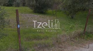 Οικόπεδο 8.000 τ.μ. για πώληση, Αχαΐα, Ρίο-thumb-23